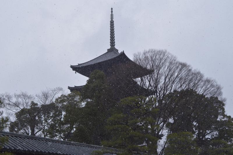 Featured image of post The Beginning